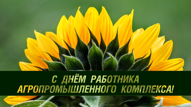 � ���� ��������� ��������� ��������� � ���������������� ��������������!